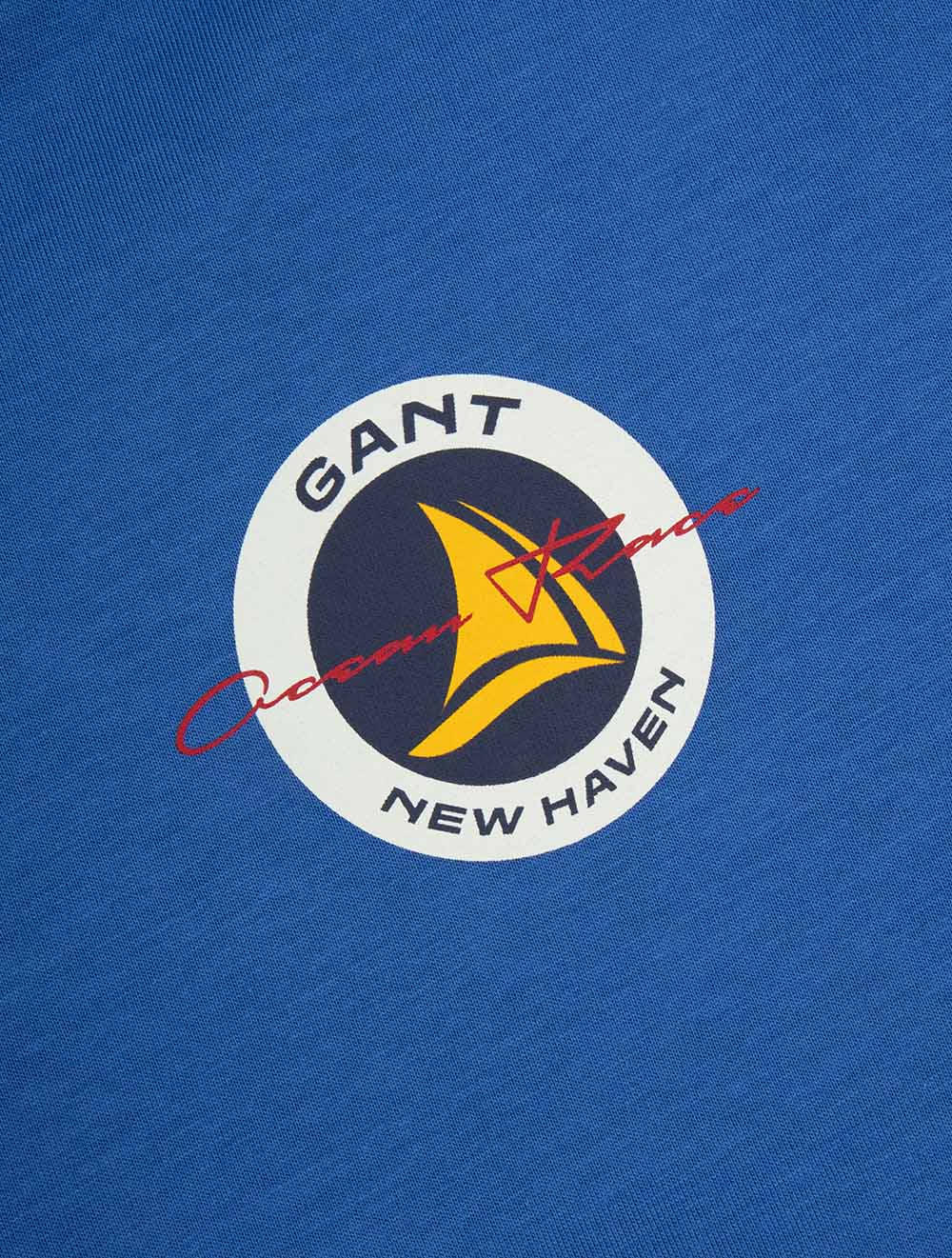 Small Graphic Short Sleeve T-Shirt Rich Blue - Image 5